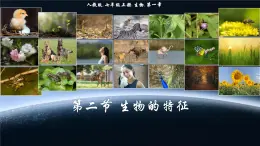 初中  生物  人教版（2024）  七年级上册  第一单元   第一章 第二节 生物的特征 课件