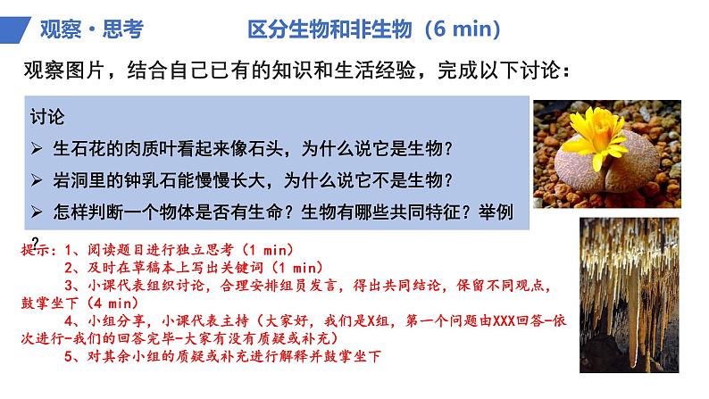 初中 生物 人教版(2024) 七年级上册 第一单元 第一章 第二节 生物的特征 课件第6页