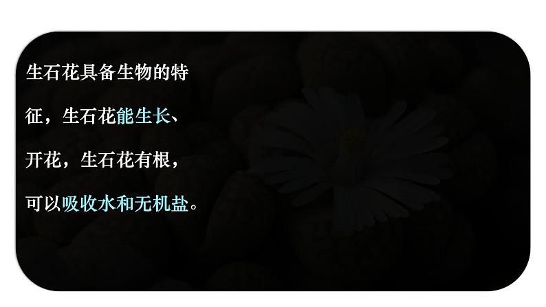 初中 生物 人教版(2024) 七年级上册 第一单元 第一章 第二节 生物的特征 课件第7页