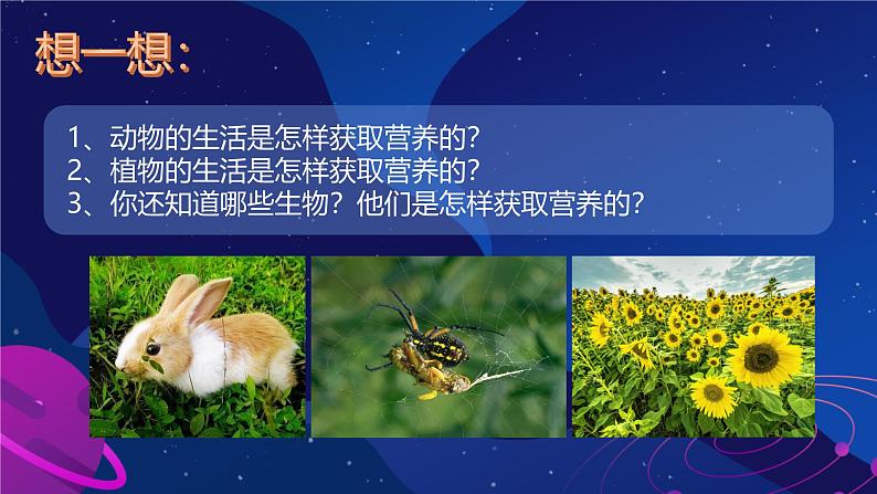 初中 生物 人教版(2024) 七年级上册 第一单元 第一章 第二节 生物的特征 课件第6页