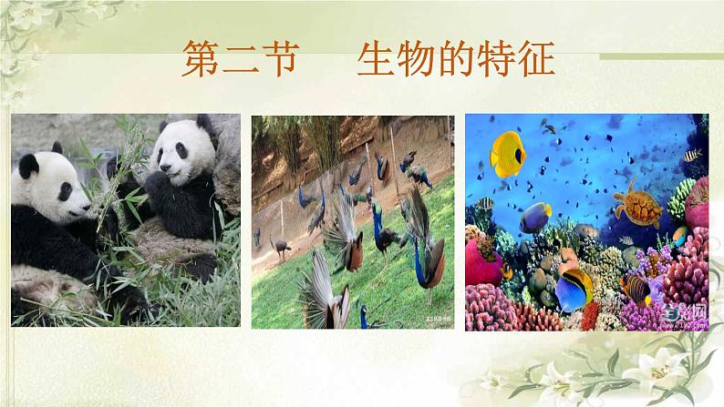 初中 生物 人教版(2024) 七年级上册 第一单元 第一章 第二节 生物的特征 课件01