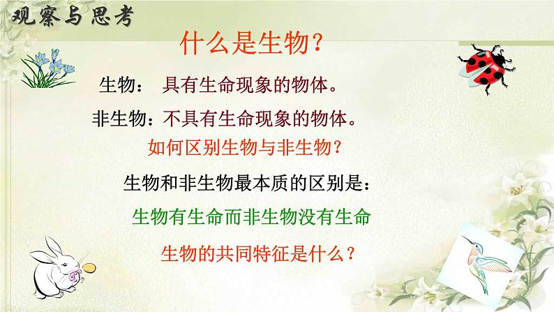 初中 生物 人教版(2024) 七年级上册 第一单元 第一章 第二节 生物的特征 课件05