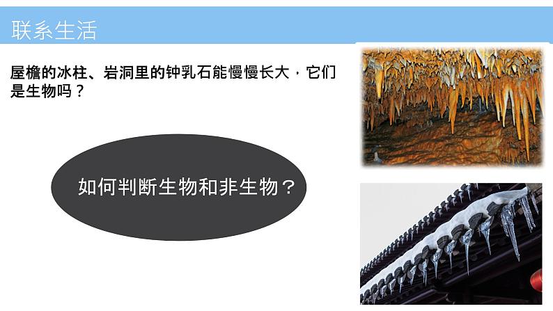 初中 生物 人教版(2024) 七年级上册 第一单元 第一章 第二节 生物的特征 课件第6页