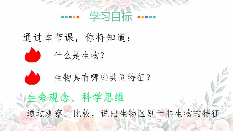 初中 生物 人教版(2024) 七年级上册 第一单元 第一章 第二节 生物的特征 课件第4页