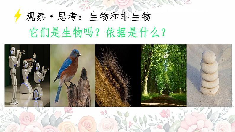 初中 生物 人教版(2024) 七年级上册 第一单元 第一章 第二节 生物的特征 课件第5页