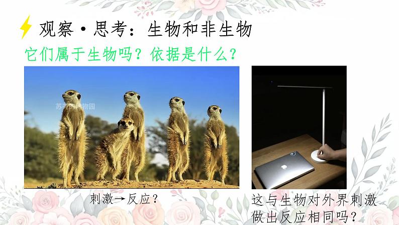 初中 生物 人教版(2024) 七年级上册 第一单元 第一章 第二节 生物的特征 课件第6页