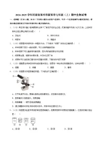河南省郑州市新郑市2024-2025学年七年级上学期期中考试生物试卷