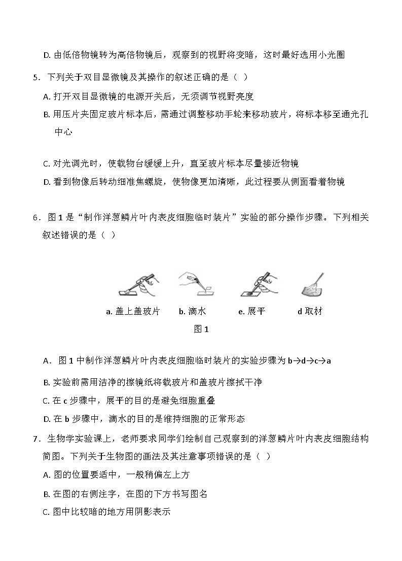 人教版(2024新版)七年级上册生物第一单元 生物和细胞 模拟测试卷(含答案)第2页