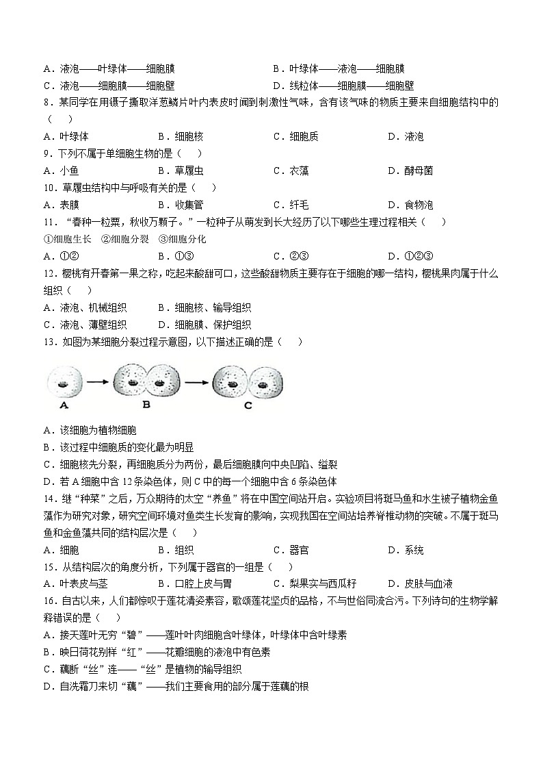 安徽省滁州市全椒县2024-2025学年七年级上学期期中生物学试题第2页