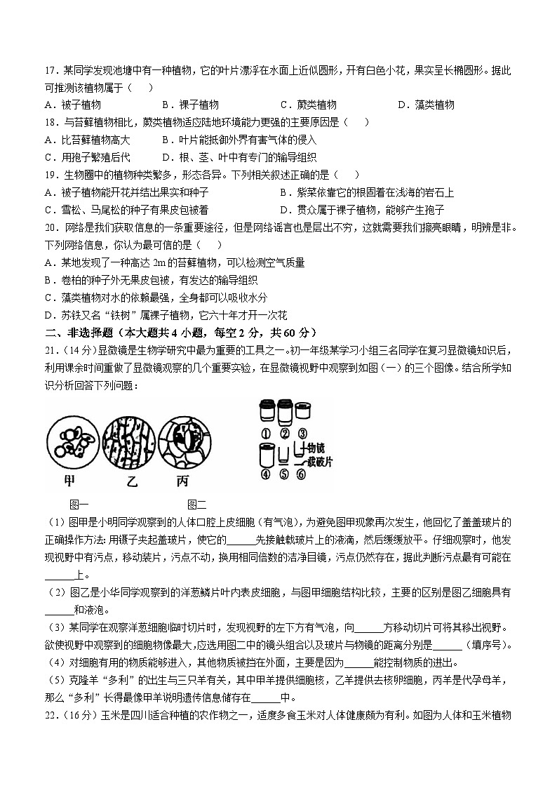 安徽省滁州市全椒县2024-2025学年七年级上学期期中生物学试题第3页