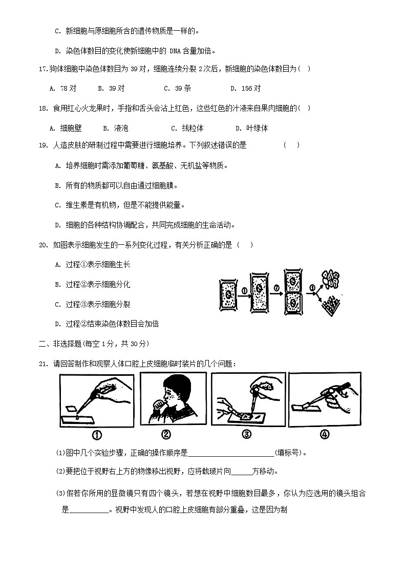 吉林省长春市第一〇八学校2024-2025学年七年级上学期期中生物试题第3页