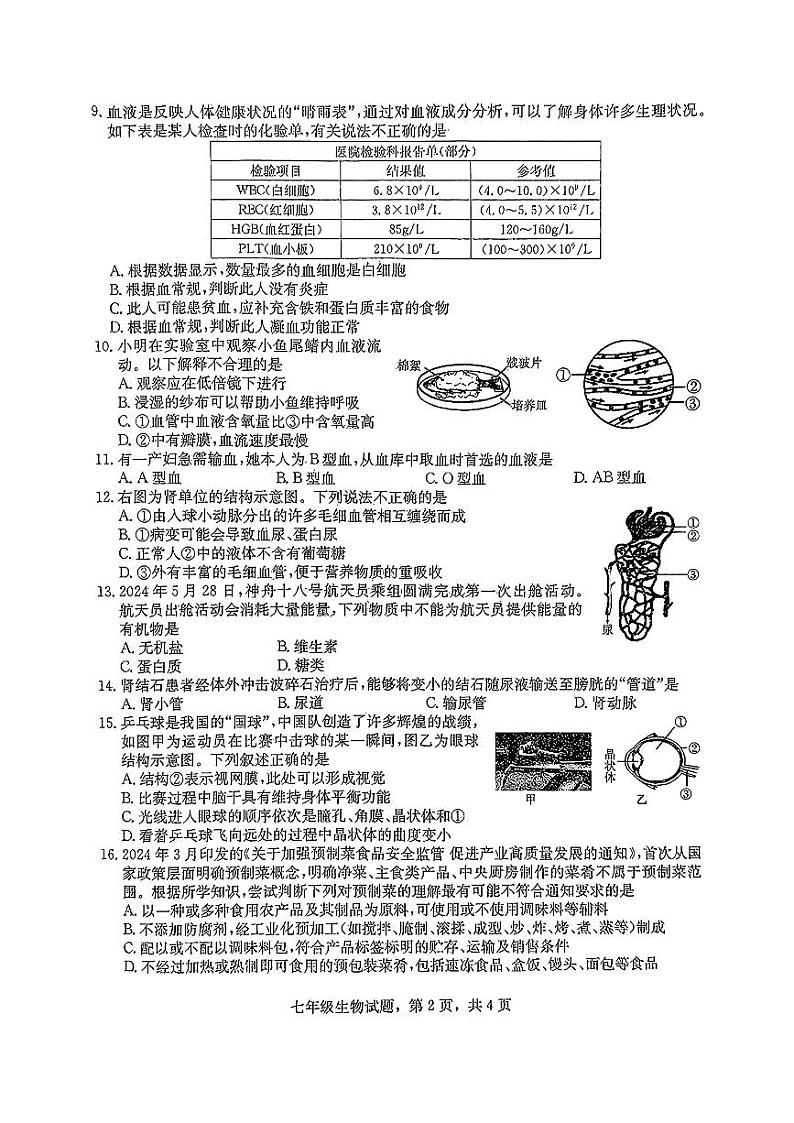 河北省保定市徐水区2023-2024学年七年级下学期期末考试生物试题第2页