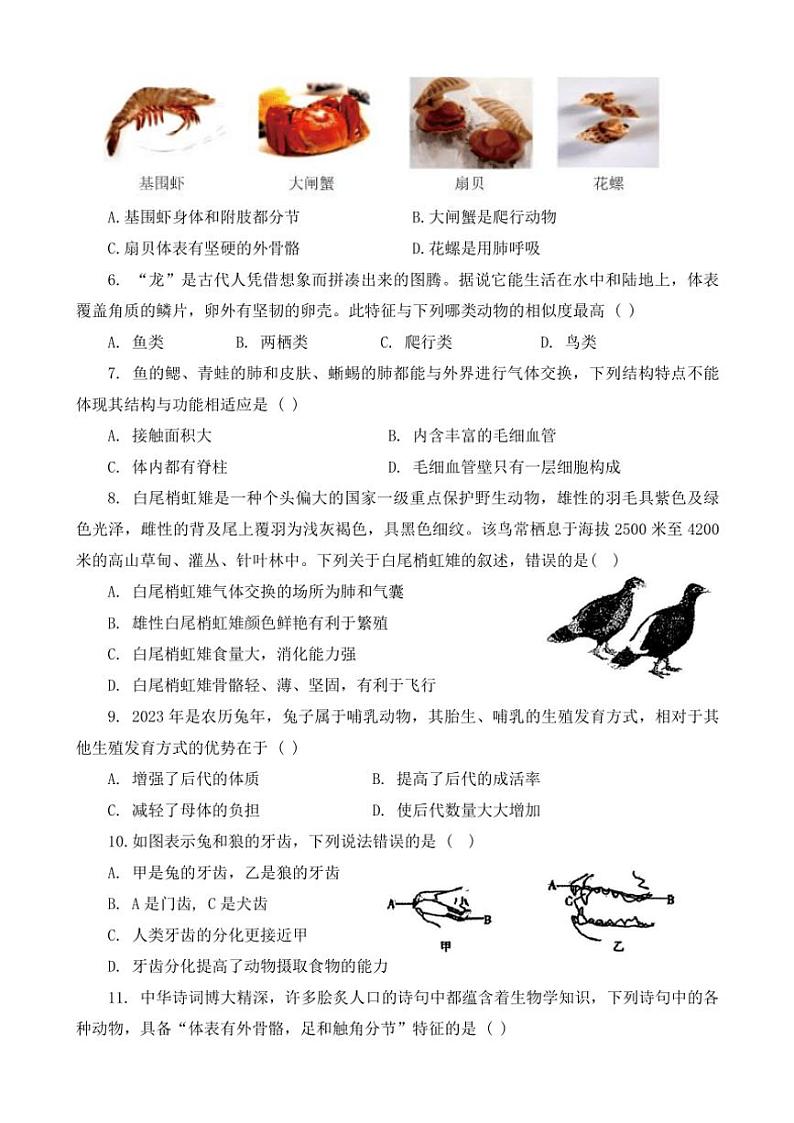 2024~2025学年河南省信阳市八年级(上)期中生物试卷(含答案)02