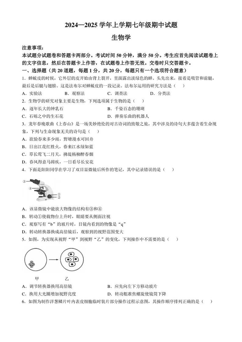 2024~2025学年河南省郑州市七年级(上)期中生物试卷(含答案)第1页