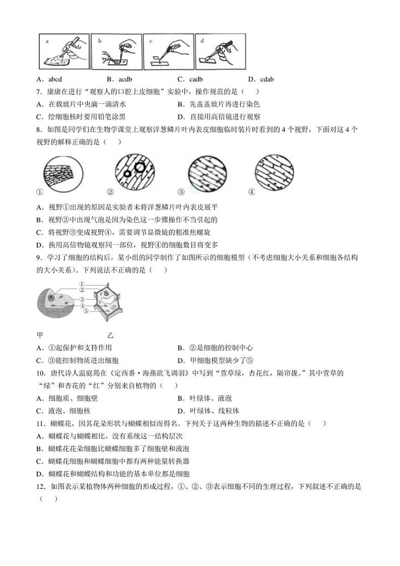 2024~2025学年河南省郑州市七年级(上)期中生物试卷(含答案)第2页