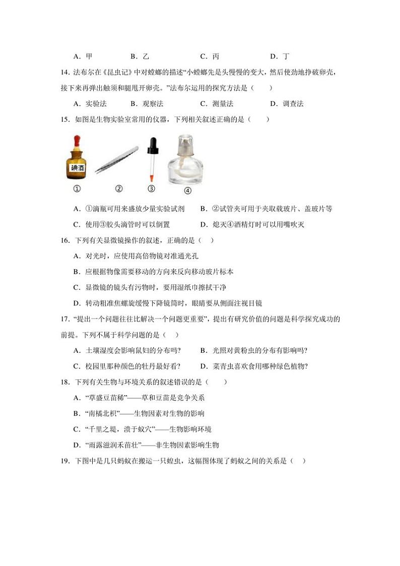 2024~2025学年贵州省毕节市金沙县七年级(上)期中生物试卷(含解析)第3页