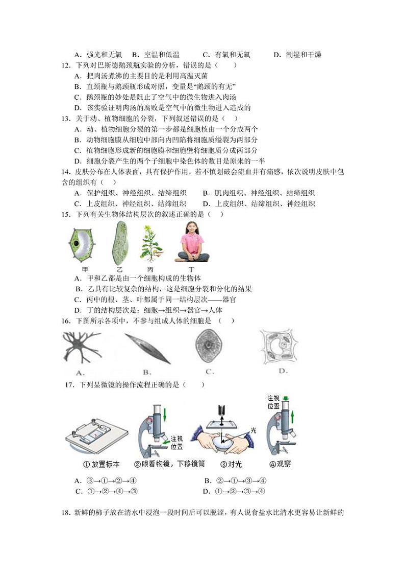 2024~2025学年四川省内江市第六中学七年级(上)期中生物试卷(pdf版+含答案)02