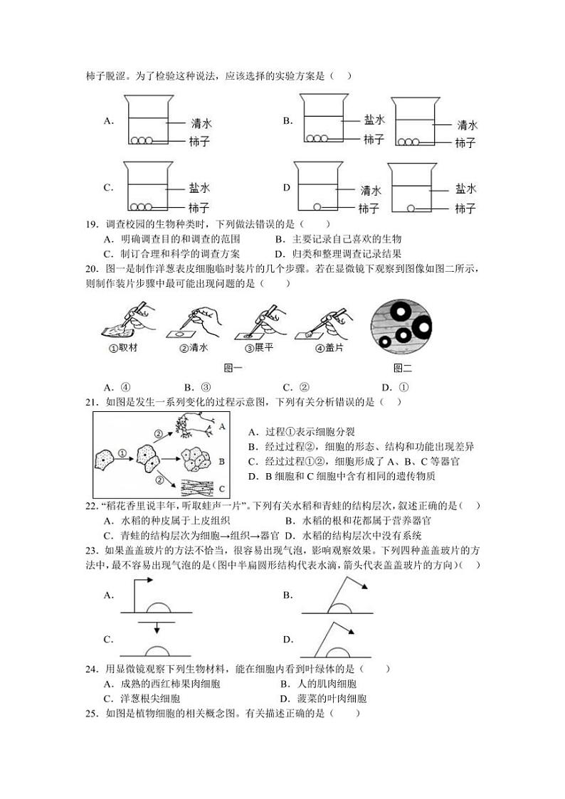 2024~2025学年四川省内江市第六中学七年级(上)期中生物试卷(pdf版+含答案)03