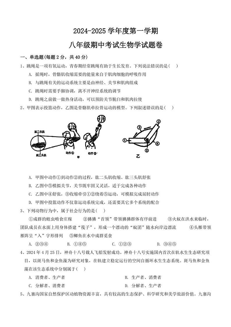 2024~2025学年安徽省淮北市八年级(上)期中生物试卷(含答案)01