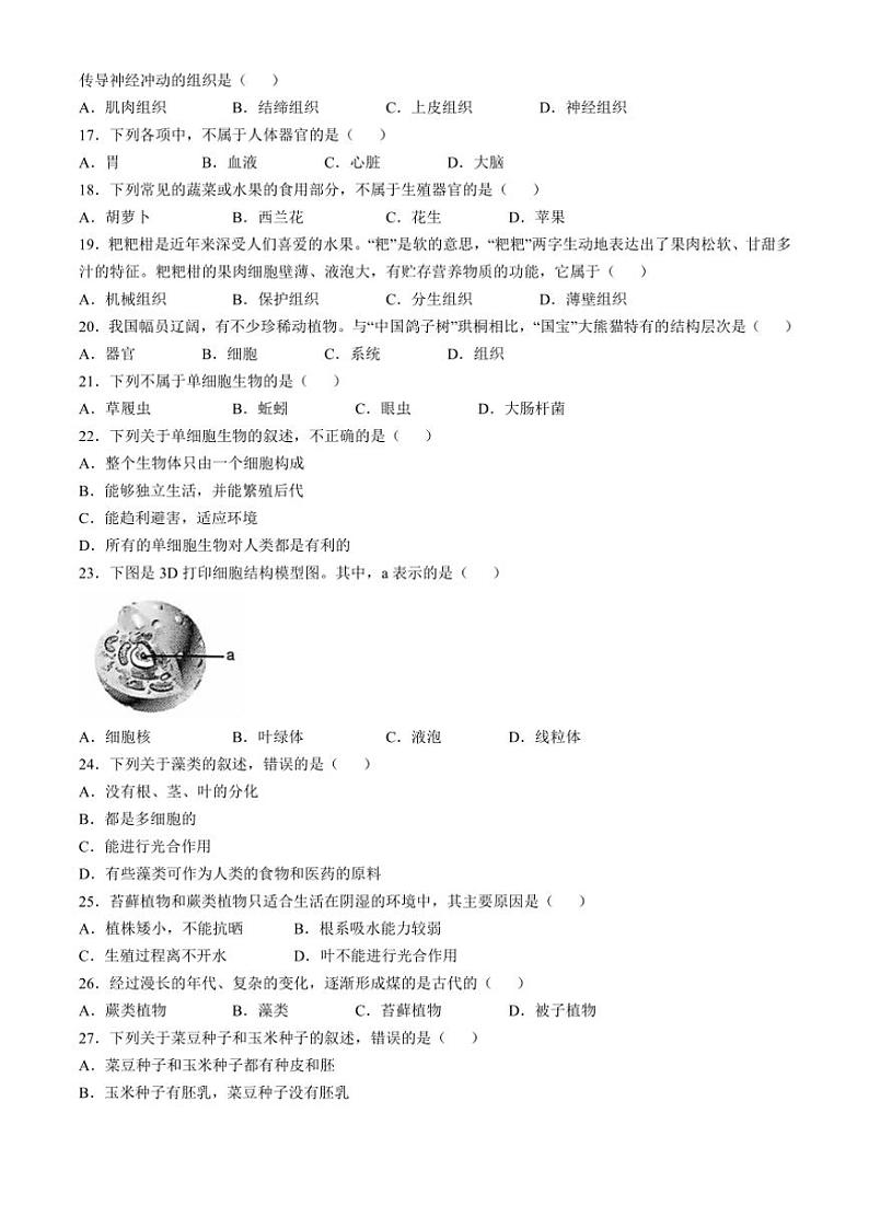 2024~2025学年云南省昭通市绥江县七年级(上)期中生物试卷(含答案)03