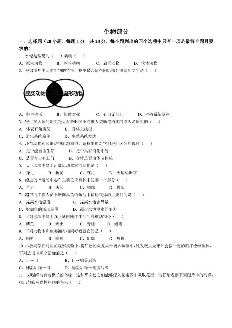 2024~2025学年江西省南昌市东湖区心远中学八年级(上)期中生物试卷(含答案)01