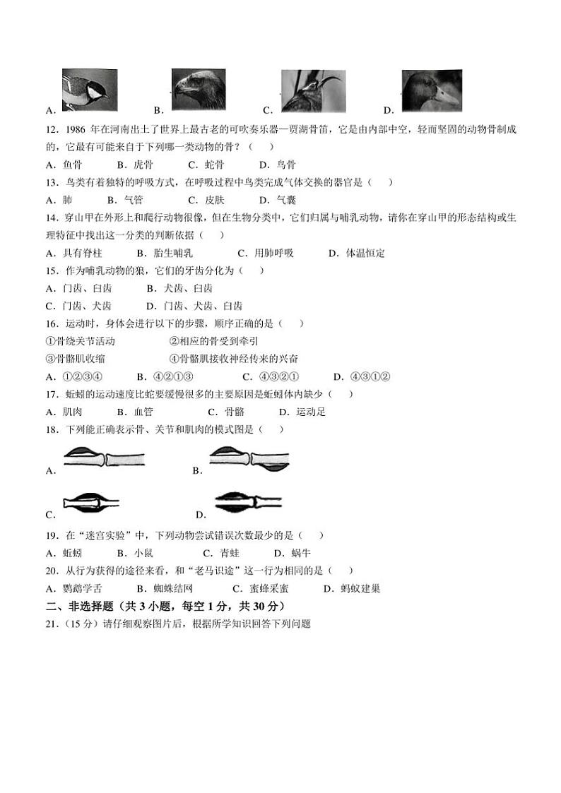 2024~2025学年江西省南昌市东湖区心远中学八年级(上)期中生物试卷(含答案)02