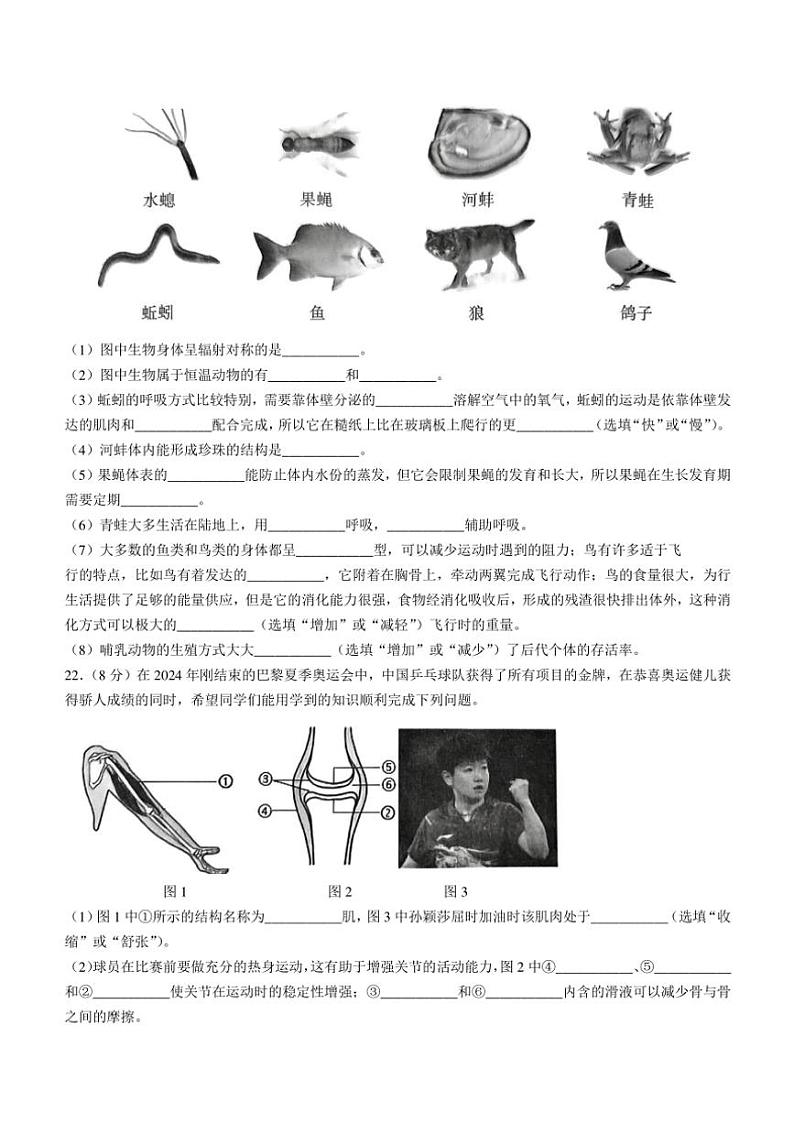 2024~2025学年江西省南昌市东湖区心远中学八年级(上)期中生物试卷(含答案)03