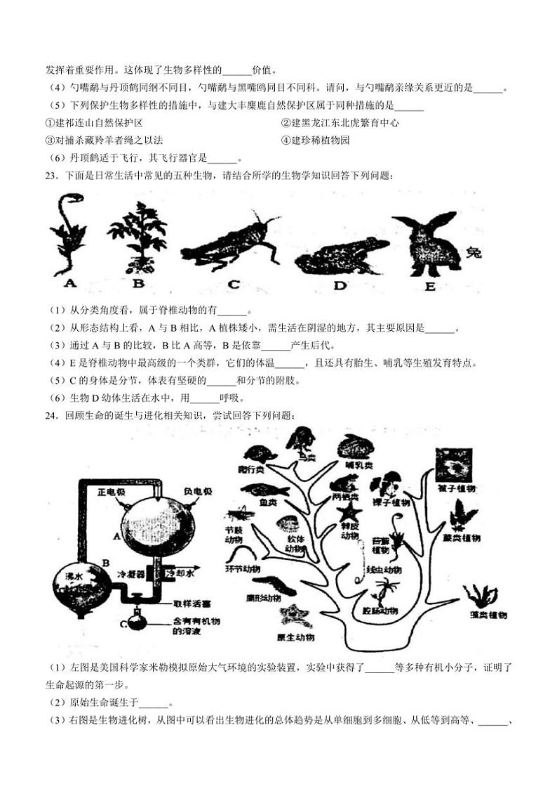 2024~2025学年甘肃省张掖市甘州区八年级(上)期中生物试卷(含答案)第3页