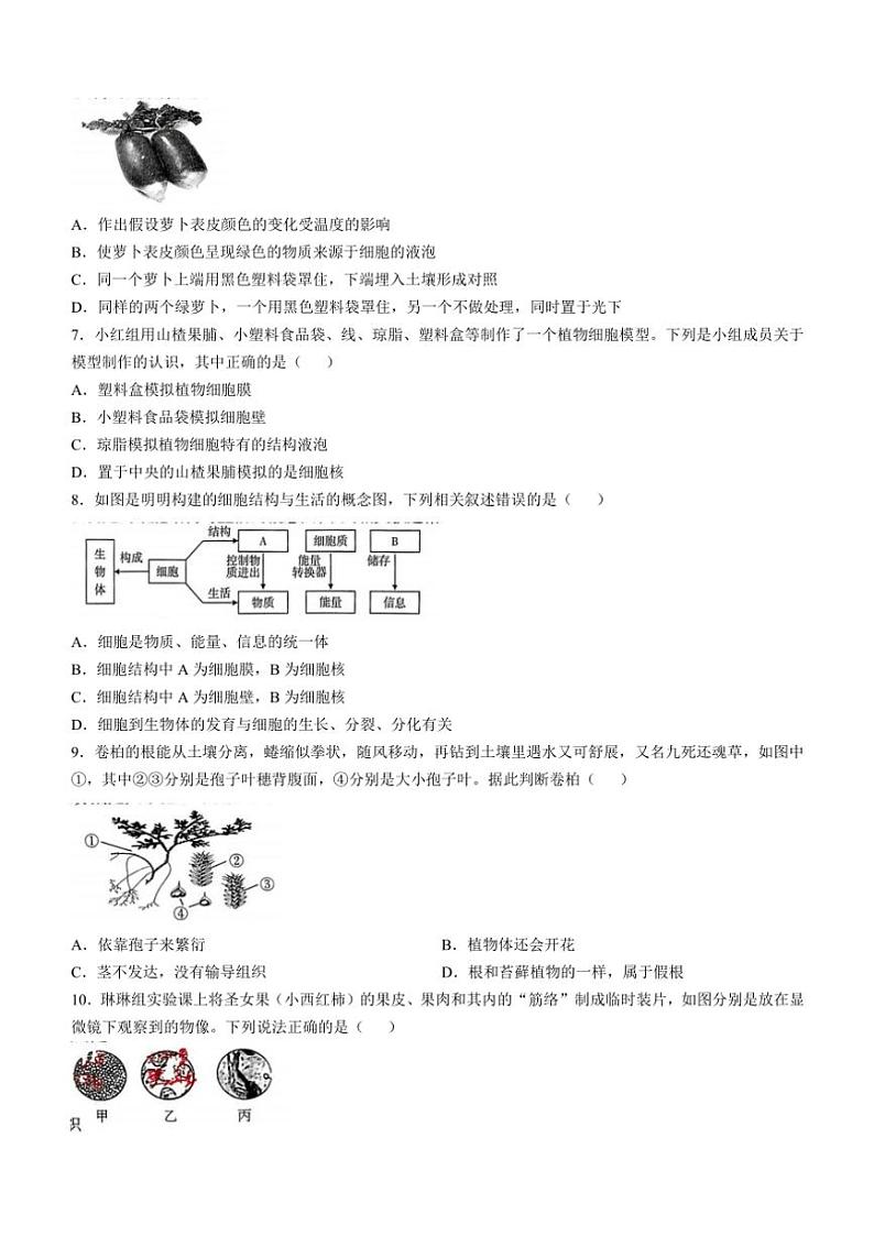 2024~2025学年山西省运城市实验中学七年级(上)期中生物试卷(含答案)第2页
