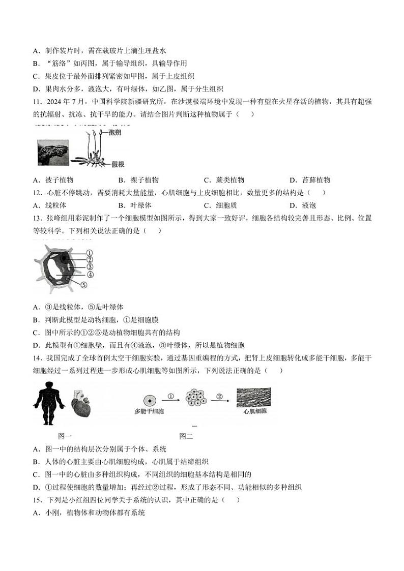 2024~2025学年山西省运城市实验中学七年级(上)期中生物试卷(含答案)第3页