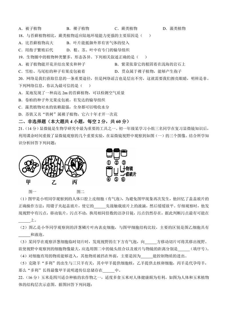 2024~2025学年安徽省滁州市全椒县七年级(上)期中生物试卷(含答案)第3页