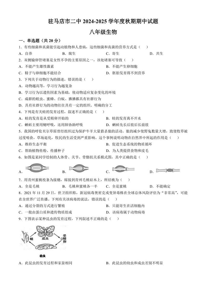 2024~2025学年河南省驻马店市第二初级中学八年级(上)期中生物试卷(含答案)01