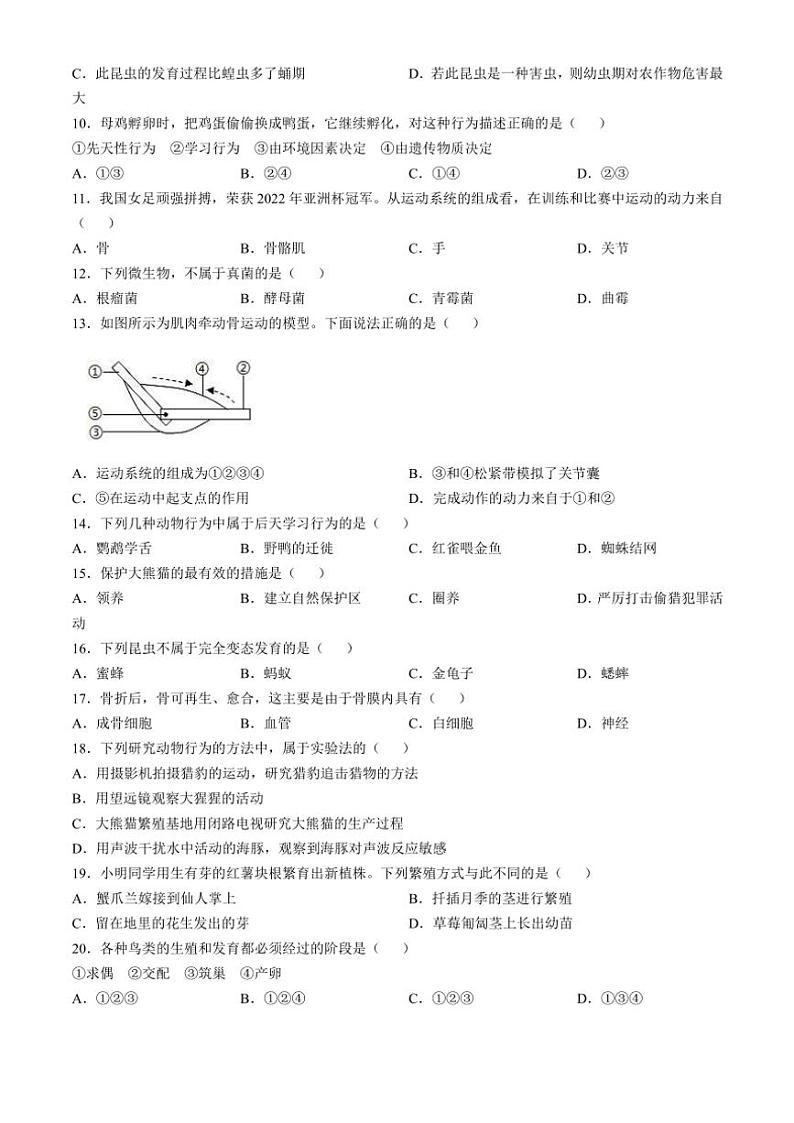 2024~2025学年河南省驻马店市第二初级中学八年级(上)期中生物试卷(含答案)02