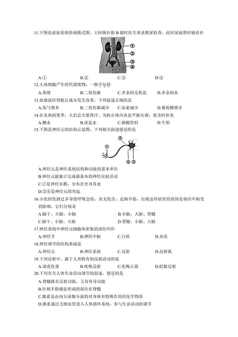 2024~2025学年江苏省苏州市昆山、太仓、常熟、张家港四市八年级(上)期中阳光测评生物试卷(含答案)第3页
