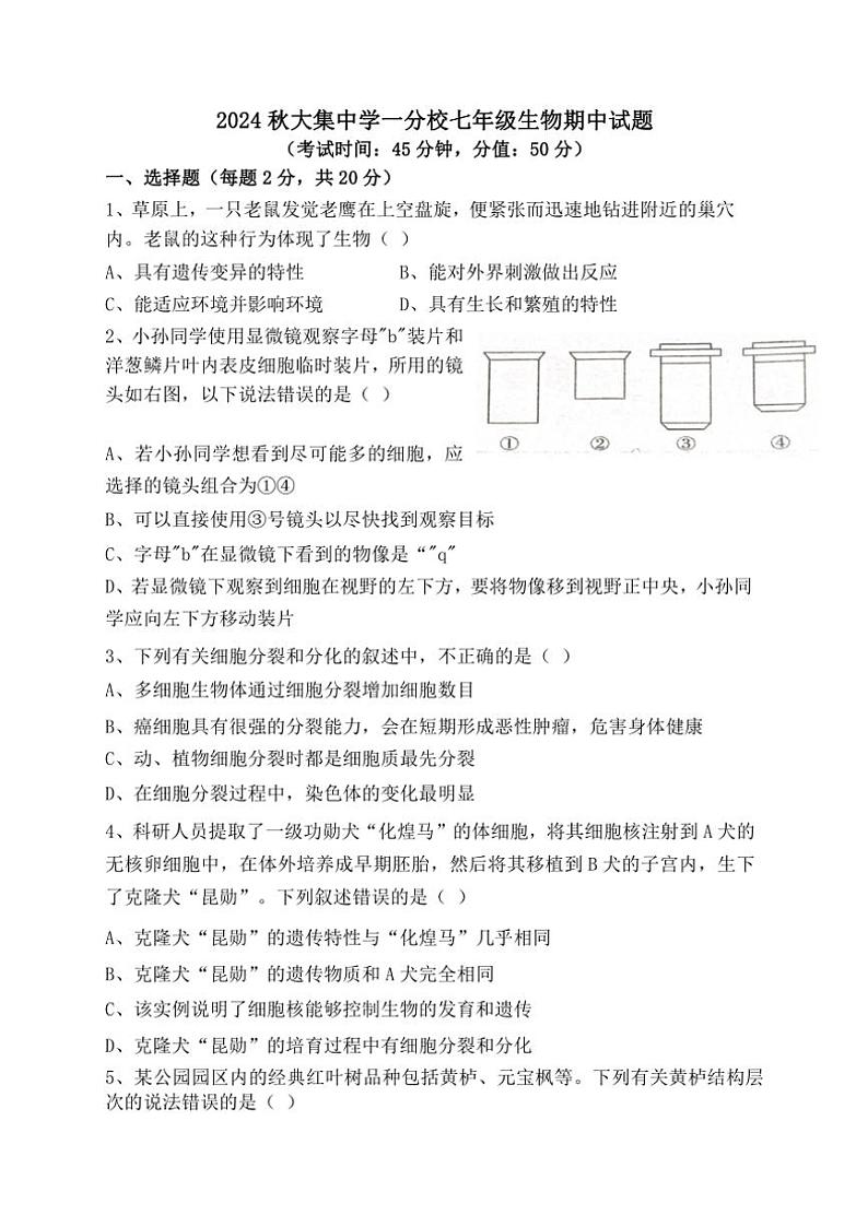 2024~2025学年湖北省咸宁市崇阳县大集中学一分校七年级(上)生物期中试卷(含答案)第1页