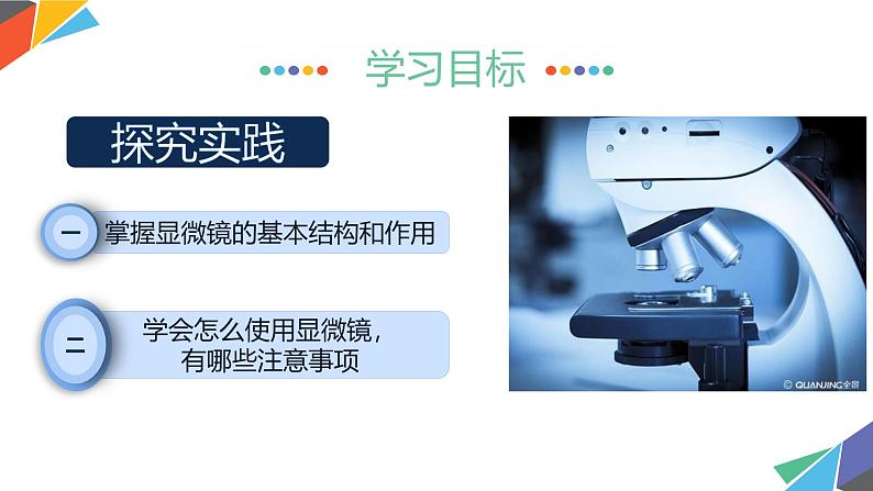 初中 生物 人教版(2024) 七年级上册 第一单元 第二章第一节 学习使用显微镜 课件第2页