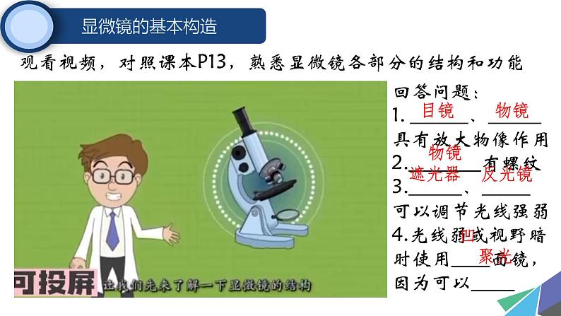 初中 生物 人教版(2024) 七年级上册 第一单元 第二章第一节 学习使用显微镜 课件第6页