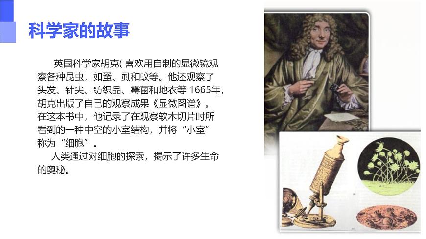 初中 生物 人教版(2024) 七年級上冊 第一單元 第二章第一節(jié) 學(xué)習(xí)使用顯微鏡 課件第4頁