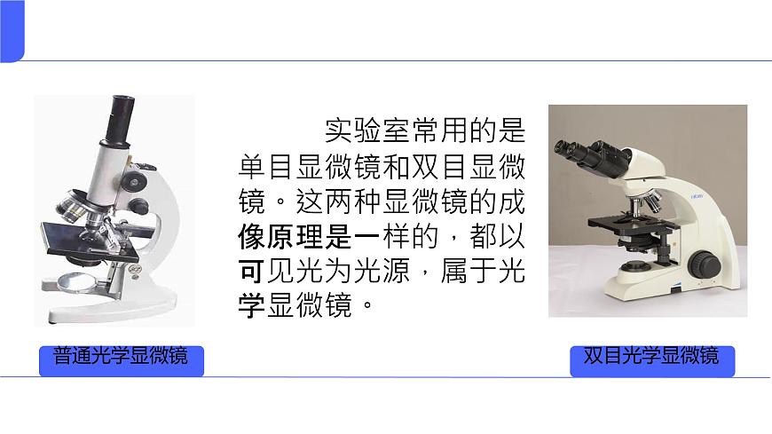 初中 生物 人教版(2024) 七年級上冊 第一單元 第二章第一節(jié) 學(xué)習(xí)使用顯微鏡 課件第6頁