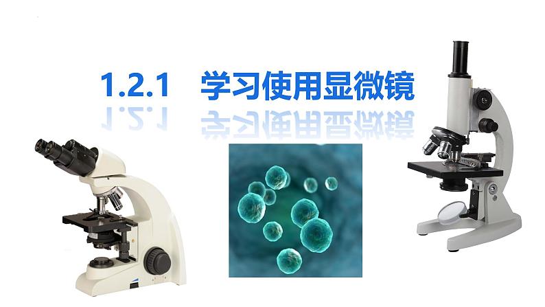 初中 生物 人教版(2024) 七年级上册 第一单元 生物和细胞 第二章 认识细胞 第一节 学习使用显微镜 课件第2页