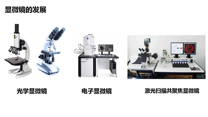 初中 生物 人教版(2024) 七年级上册 第一单元 生物和细胞 第二章 认识细胞 第一节 学习使用显微镜 课件第4页