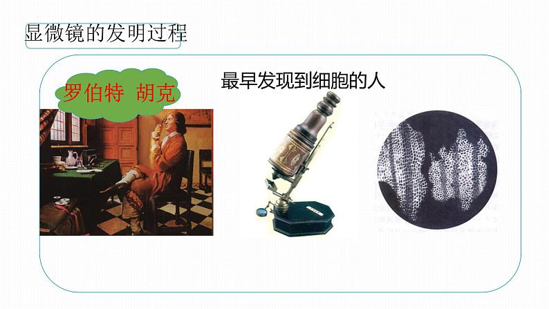 初中 生物 人教版(2024) 七年级上册 第一单元 生物和细胞 第二章 认识细胞 第一节 学习使用显微镜 课件第3页