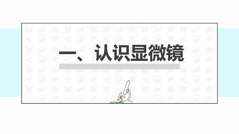 初中 生物 人教版(2024) 七年级上册 第一单元 生物和细胞 第二章 认识细胞 第一节 学习使用显微镜 课件第4页