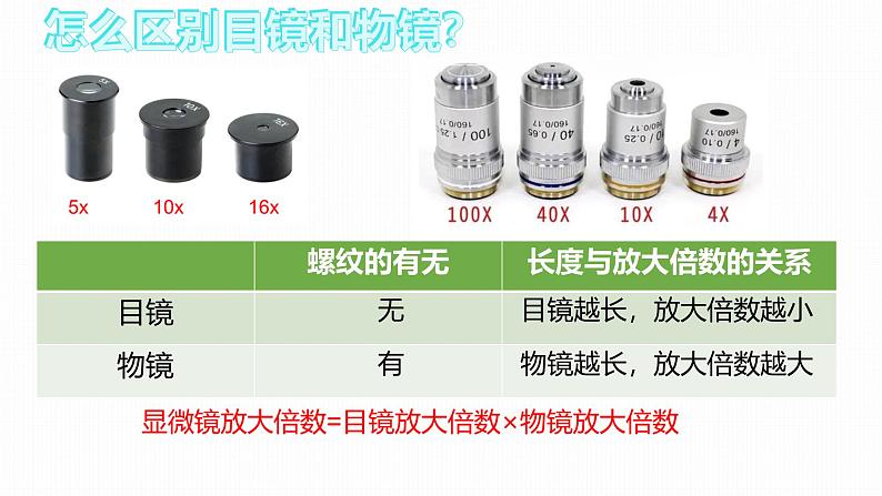 初中 生物 人教版(2024) 七年级上册 第一单元 生物和细胞 第二章 认识细胞 第一节 学习使用显微镜 课件第6页