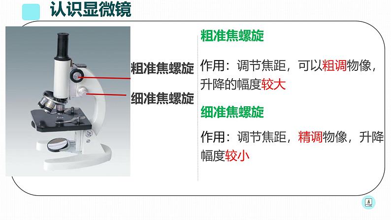 初中 生物 人教版(2024) 七年级上册 第一单元 生物和细胞 第二章 认识细胞 第一节 学习使用显微镜 课件第7页