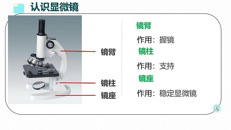 初中 生物 人教版(2024) 七年级上册 第一单元 生物和细胞 第二章 认识细胞 第一节 学习使用显微镜 课件第8页