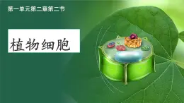 初中  生物  人教版（2024）  七年级上册  第一单元   第二章 认识细胞 第二节 植物细胞 课件