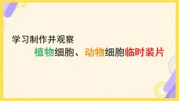 初中  生物  人教版（2024）  七年级上册  第一单元   第二章 认识细胞 第二节 植物细胞 课件