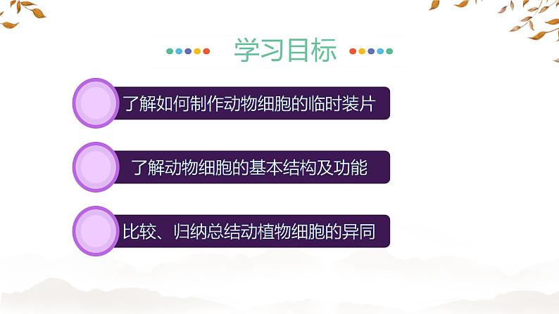初中 生物 人教版(2024) 七年级上册 第一单元 第二章 认识细胞第三节 动物细胞 课件第2页