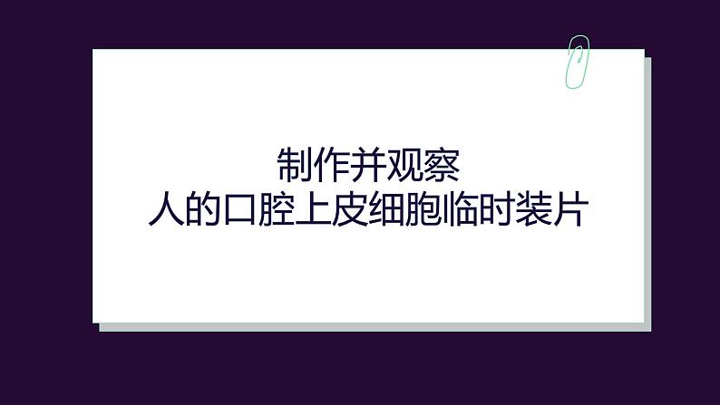 初中 生物 人教版(2024) 七年级上册 第一单元 第二章 认识细胞第三节 动物细胞 课件第4页
